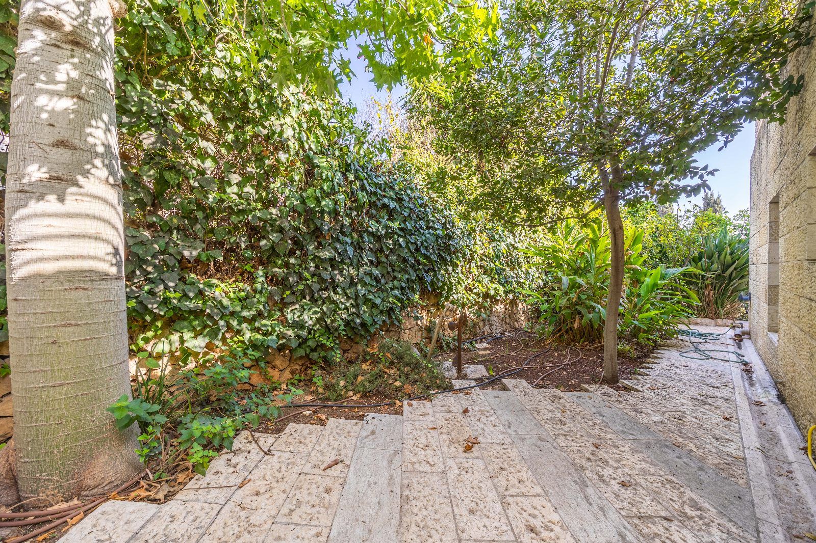 מהסמארטפון שלי